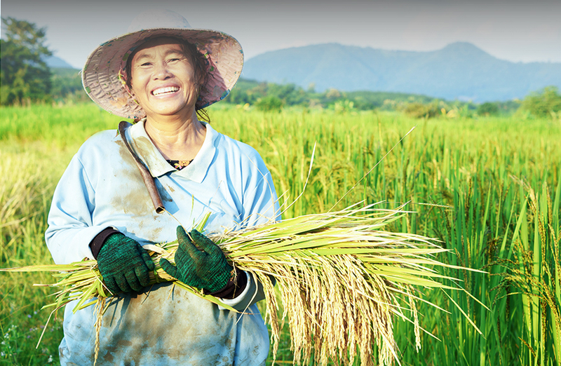 Khách hàng nên chuẩn bị trước phương án sản xuất cụ thể và khả thi để được phê duyệt khoản vay dễ dàng.