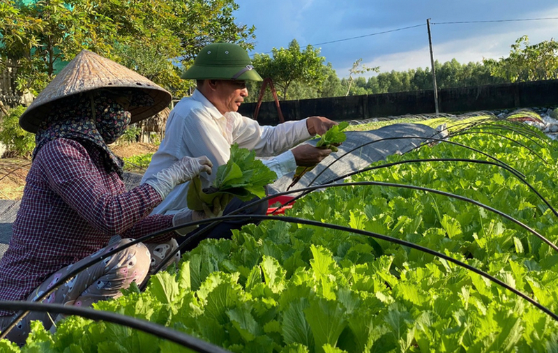 Vay tín chấp nông nghiệp phù hợp với các cá nhân và hộ kinh doanh có quy mô sản xuất nhỏ, không cần tài sản bảo đảm.