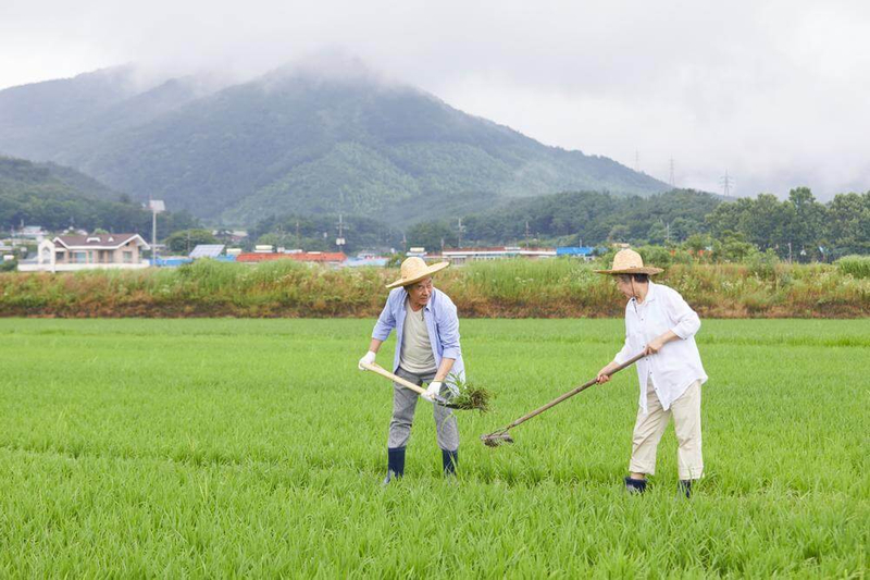 Cho vay nông nghiệp nông thôn là giải pháp tài chính hỗ trợ phát triển sản xuất và nâng cao đời sống tại khu vực nông thôn.