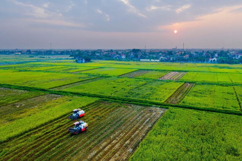 Khách hàng có nhu cầu vốn lớn nhằm mở rộng quy mô sản xuất thường lựa chọn gói vay thế chấp.