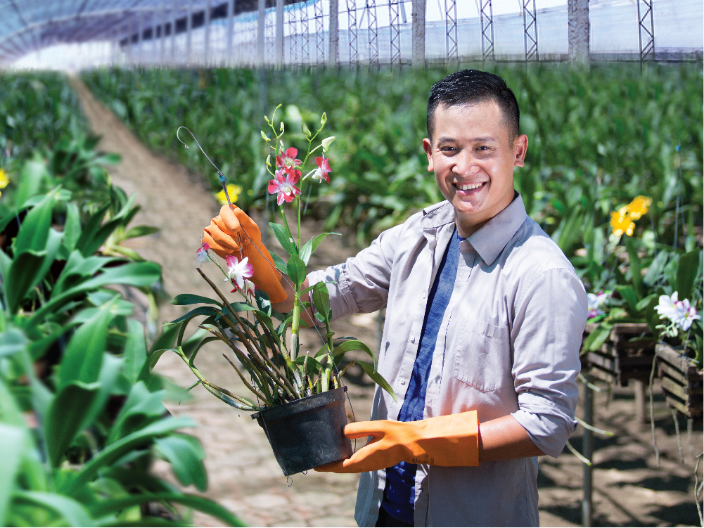 Cấp tín dụng đối với khách hàng trồng rau, trồng hoa ứng dụng nông nghiệp Công nghệ cao