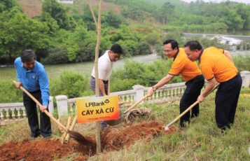 20-5-2024: Cùng LPBank phủ xanh Việt Nam trong Ngày hội trồng cây năm 2024